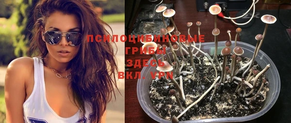 твердый Белокуриха